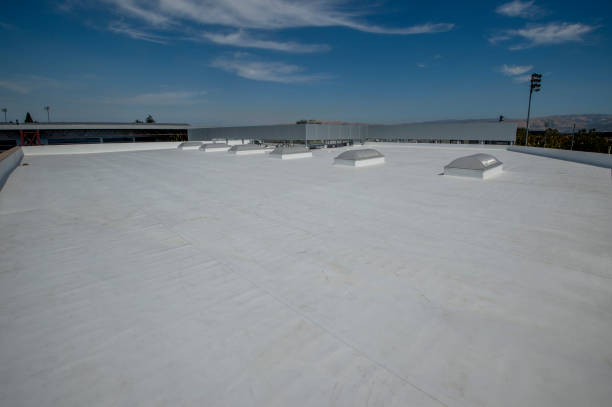 Best Roof Moss and Algae Removal  in Fox Chapel, PA